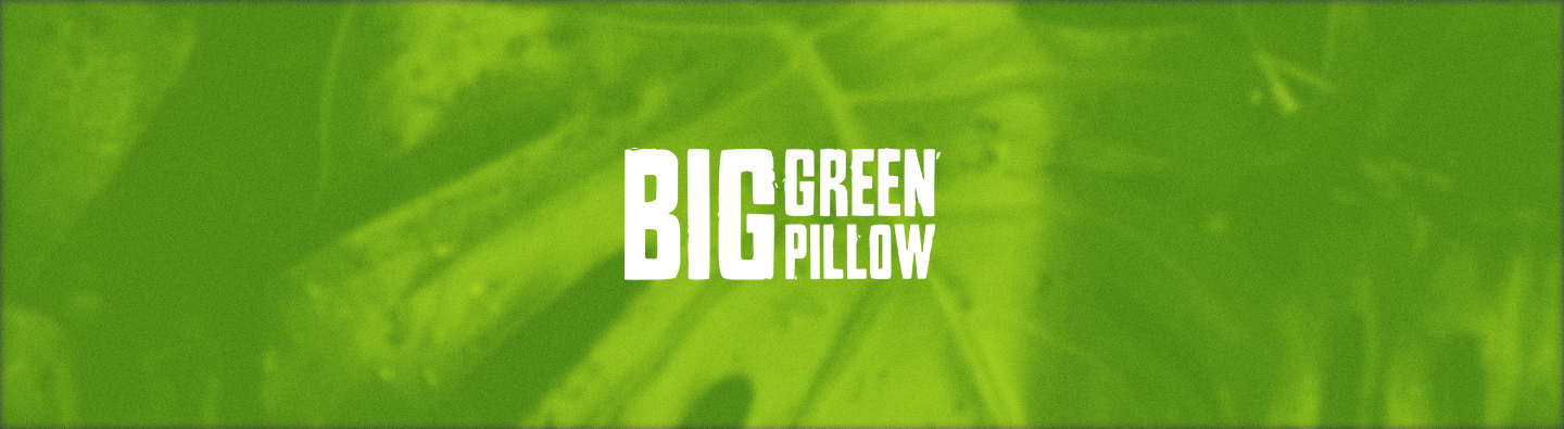 Big Green Pillow